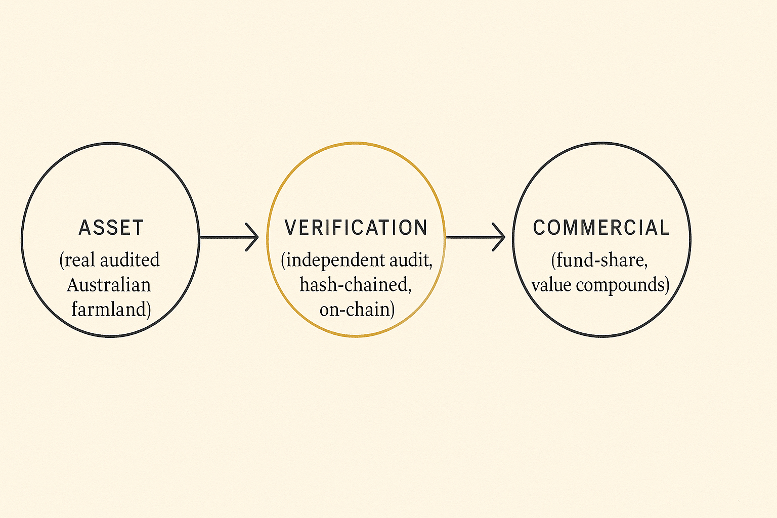 Three nested circles (TAM > SAM > SOM) in brand green gradient; icons for data streams, soil biology, and capital flow; minimalist Stripe‑Press layout with Patagonia‑style earth tone background.