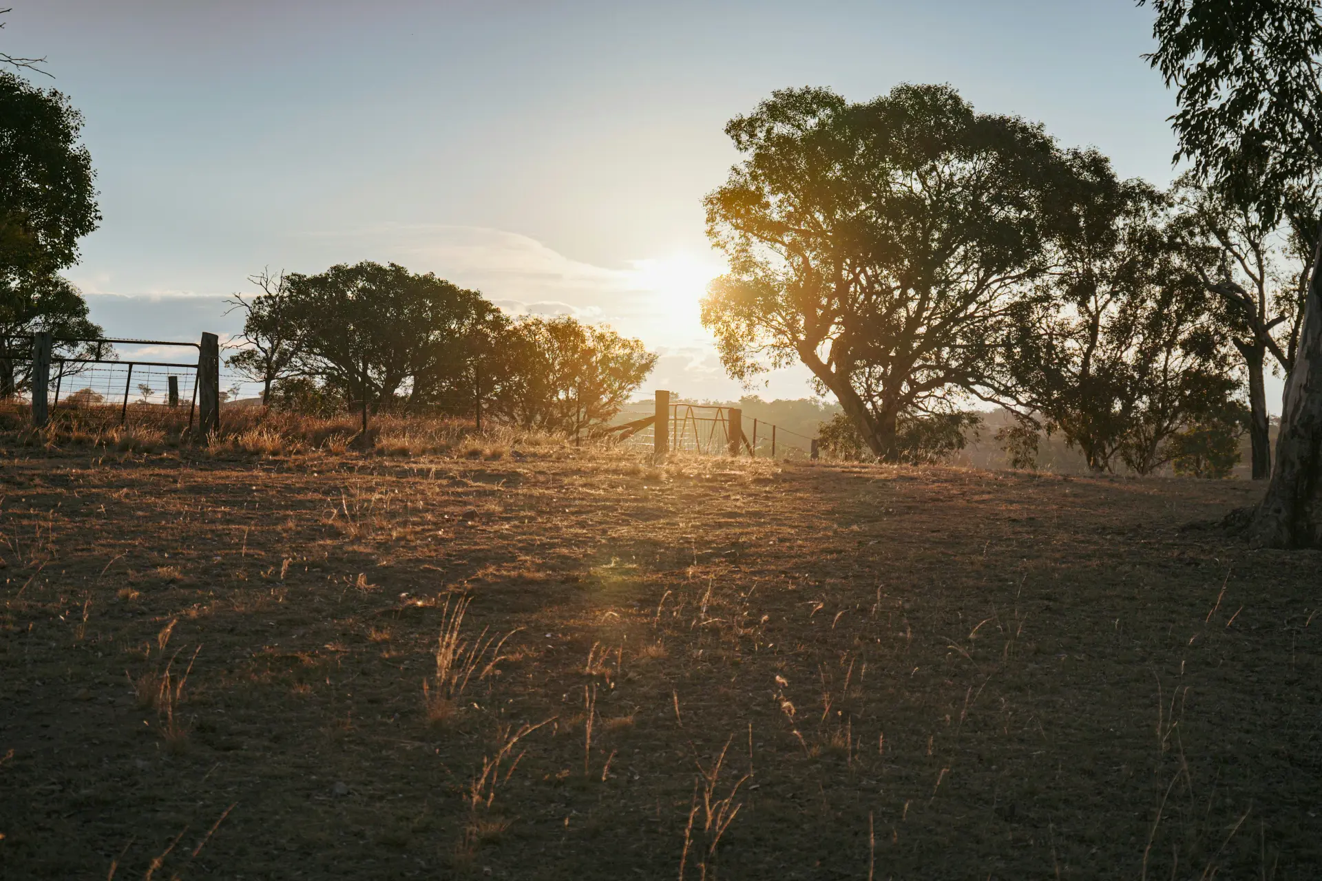 Dry farmland · gate