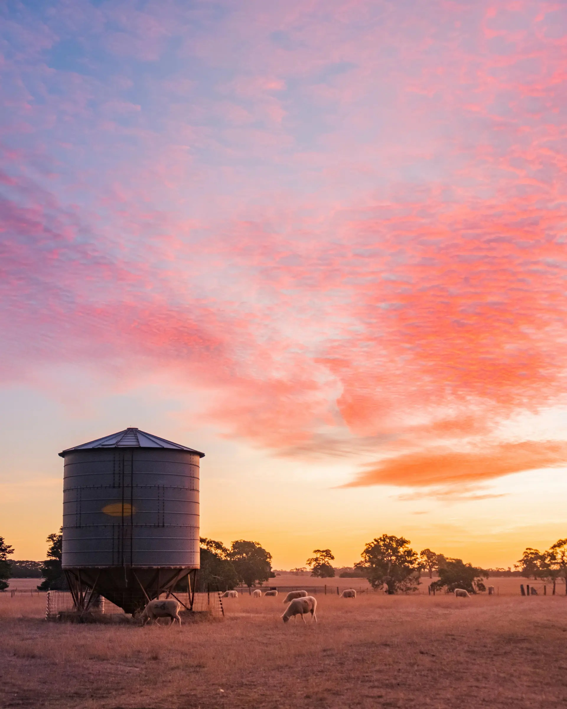 Farm sunset · silo