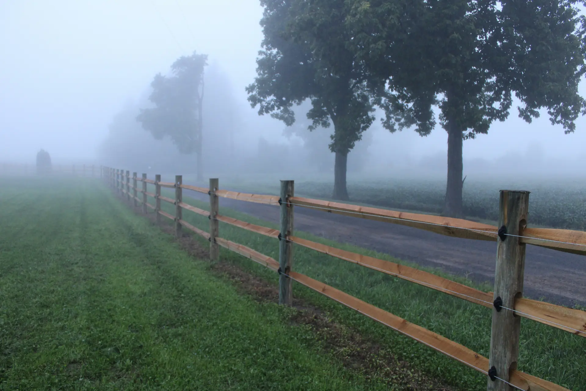 Misty farm fence