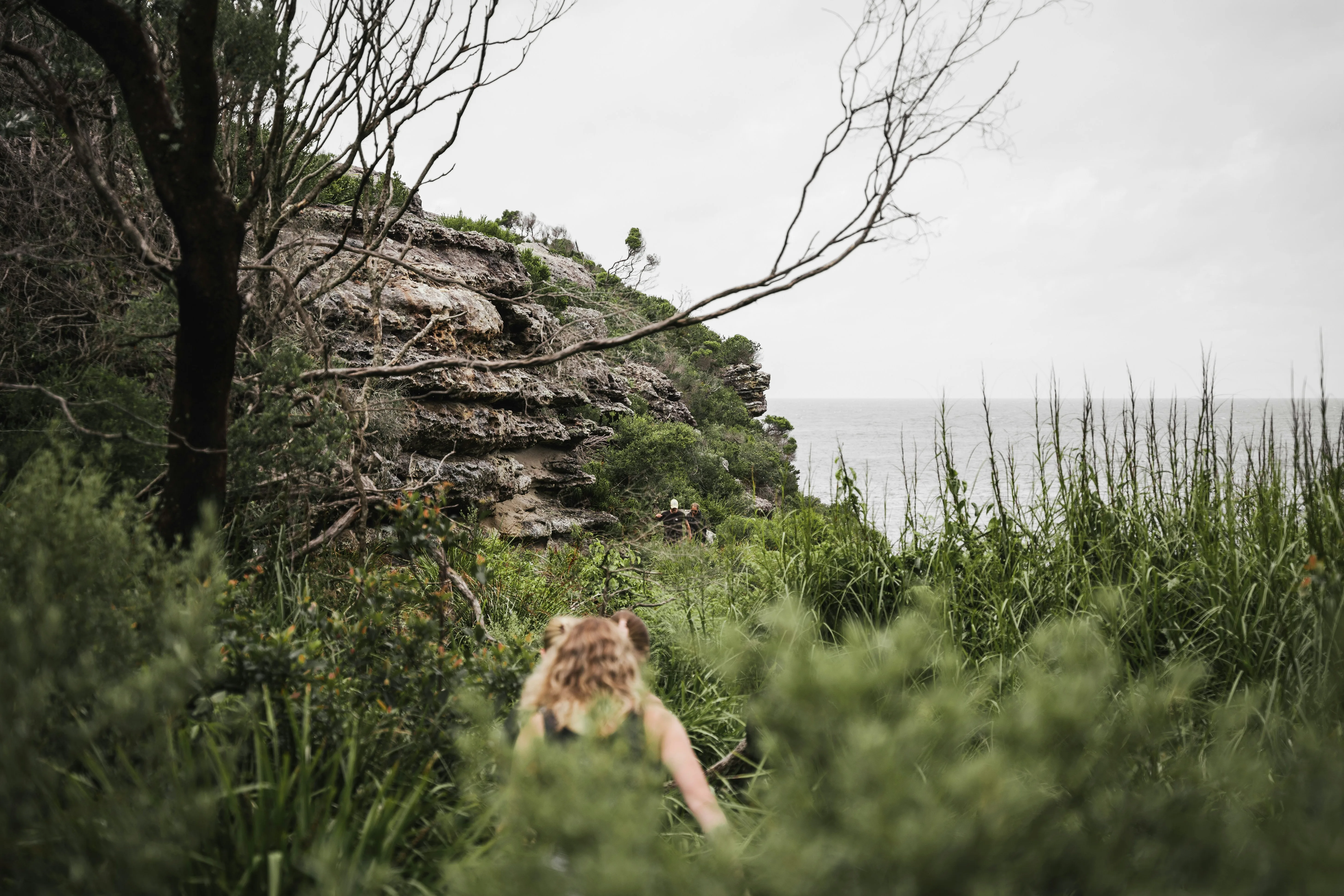 Quokka · grass