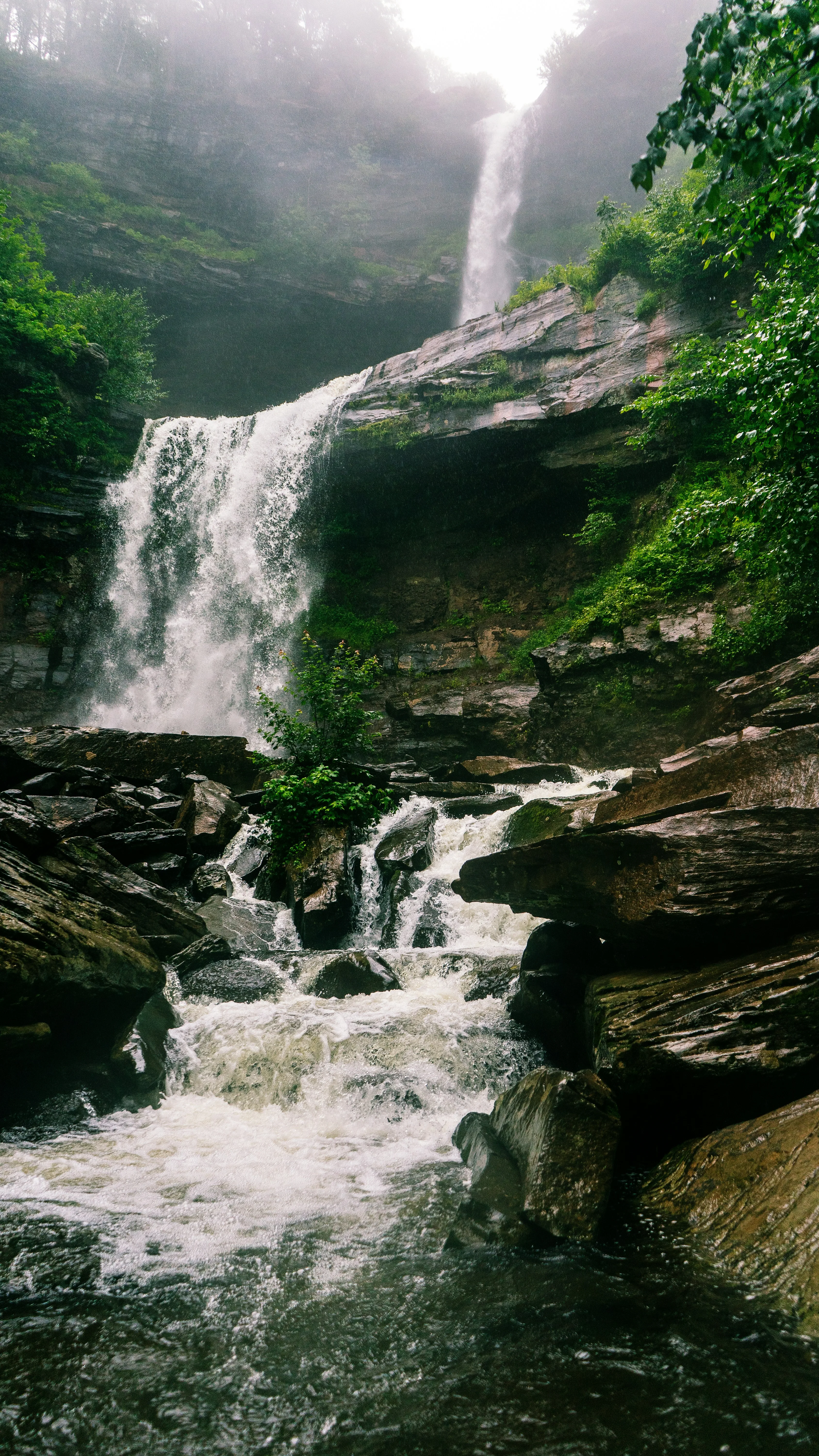 Waterfall · lush forest