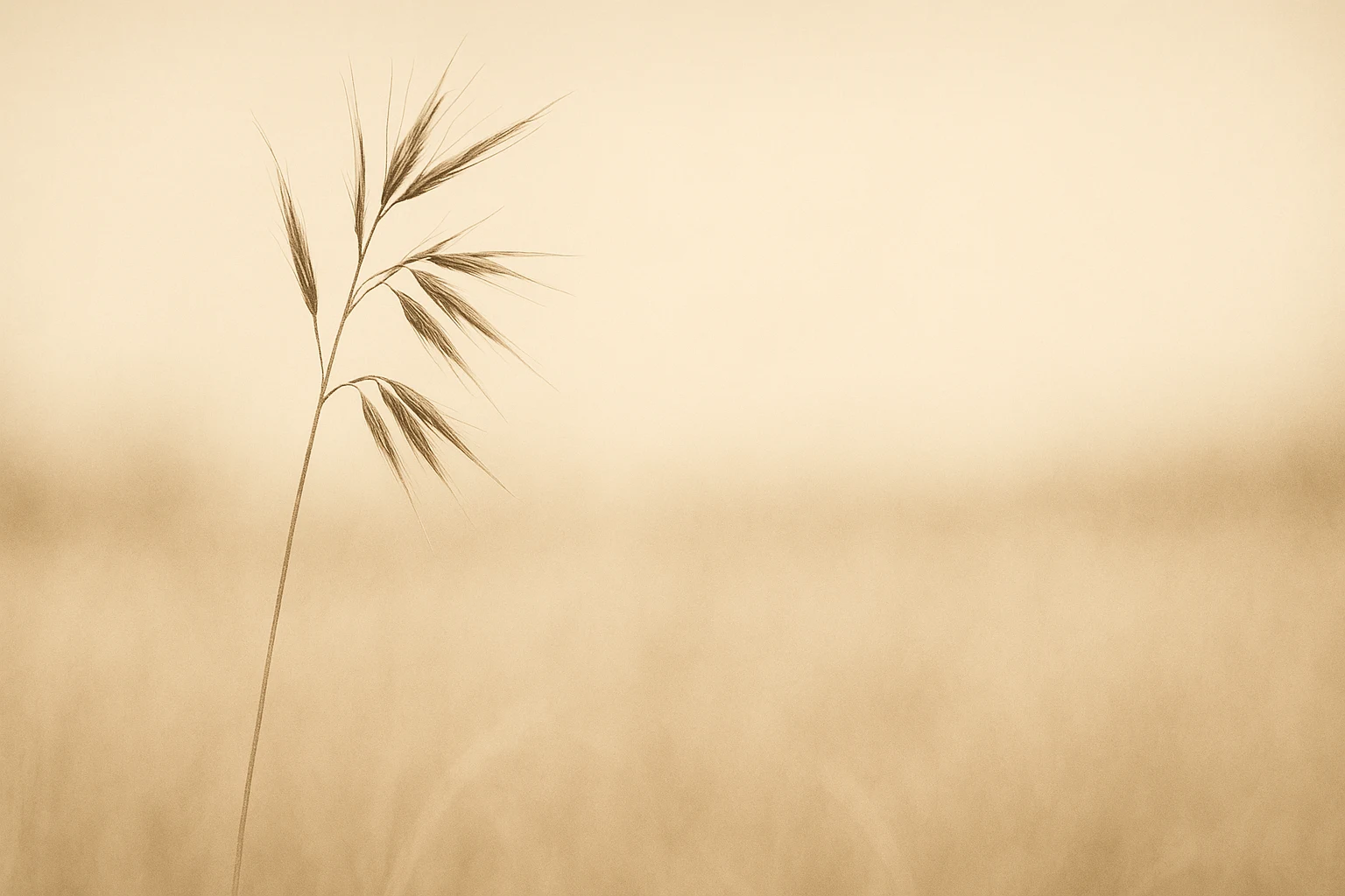 Compound · grass cream